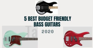 Best Bass Guitars