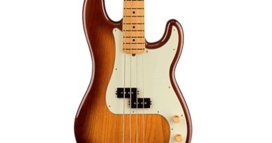 Fender p Bass