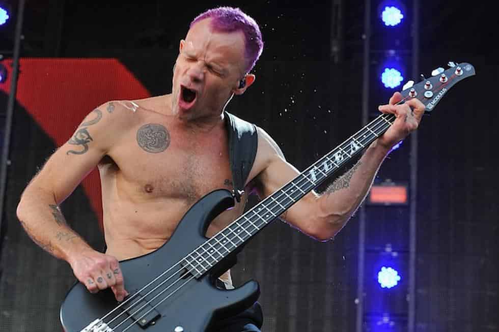 Red Hot Chili Peppers Flea