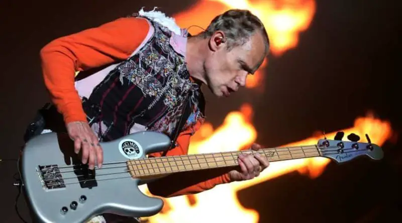 Flea from the Red Hot Chili Peppers