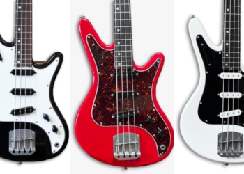 Nordtrand V2 Acynonyx