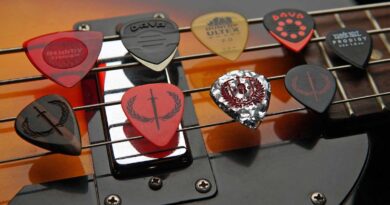 Best Bass Guitar Picks