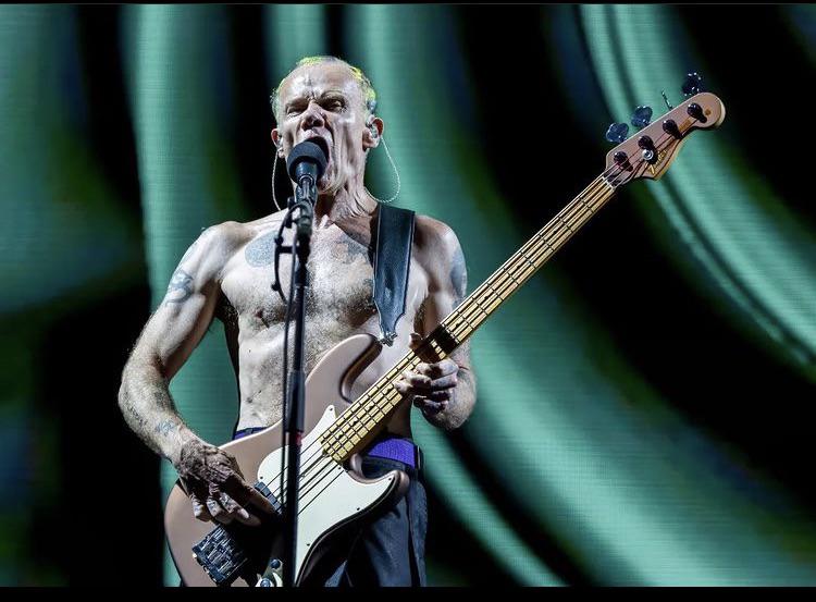 Flea