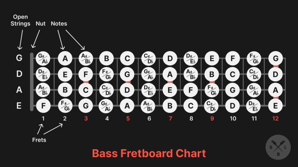 Bass Guitar Fretboard notes