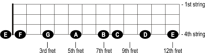 Notes on the E string on the bass fretboard